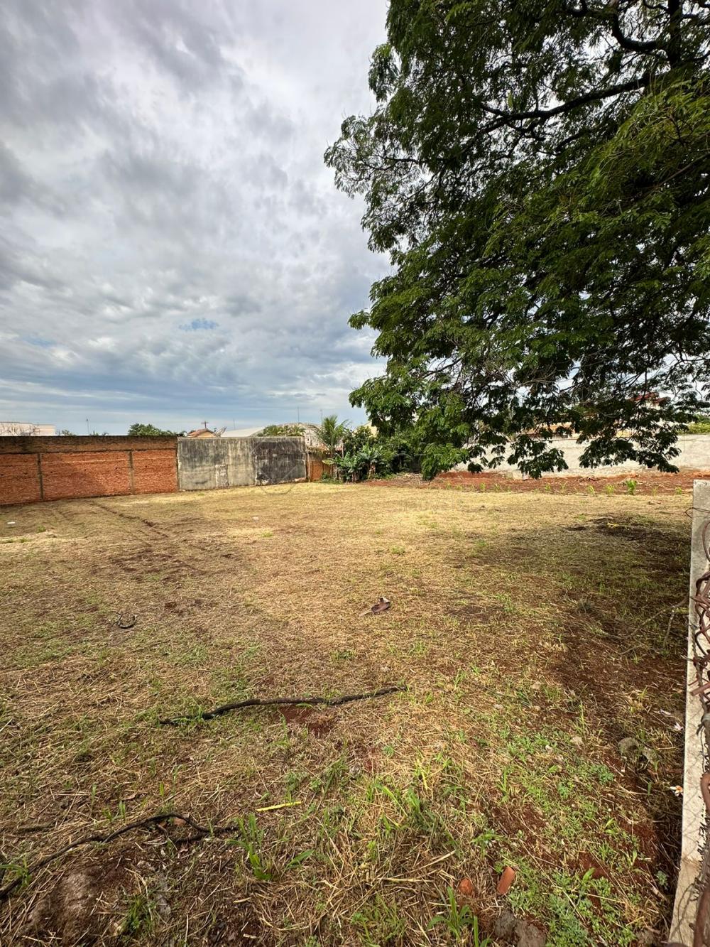 Comprar Terreno / Residencial em Santa B&aacute;rbara D`Oeste R$ 360.000,00 - Foto 4